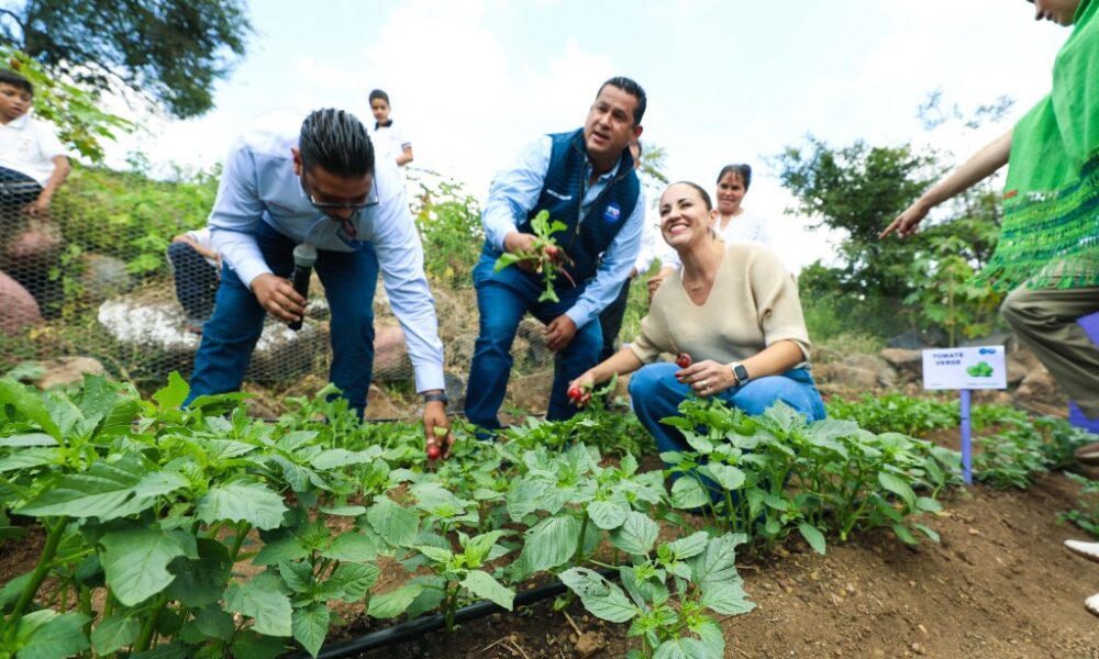 Realiza El Gobierno Del Estado M S Obras Y Acciones Revista